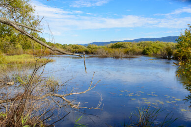 黑龙江省抚远市黑瞎子岛湿地公园景色