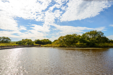 黑龙江省抚远市黑瞎子岛湿地公园景色