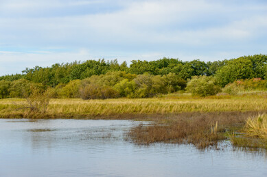 黑龙江省抚远市黑瞎子岛湿地公园景色