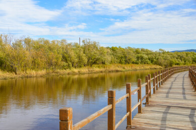 黑龙江省抚远市黑瞎子岛湿地公园景色