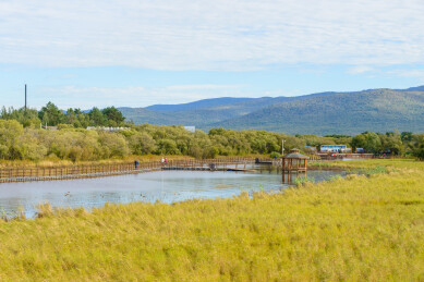 黑龙江省抚远市黑瞎子岛湿地公园景色
