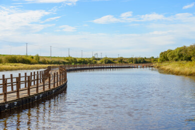 黑龙江省抚远市黑瞎子岛湿地公园景色