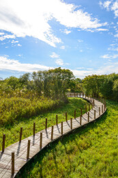 黑龙江省抚远市黑瞎子岛湿地公园景色