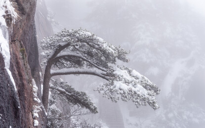 中国安徽省黄山风景名胜区冬日雪景