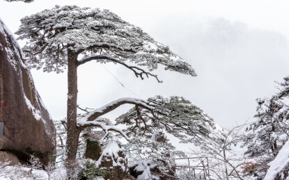 中国安徽省黄山风景名胜区冬日雪景