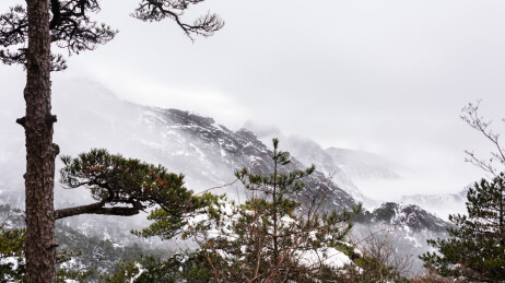 中国安徽省黄山风景名胜区冬日雪景