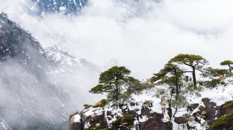 中国安徽省黄山风景名胜区冬日雪景