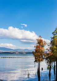 云南省大理市洱海才村码头风光