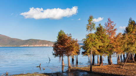 云南省大理市洱海才村码头风光