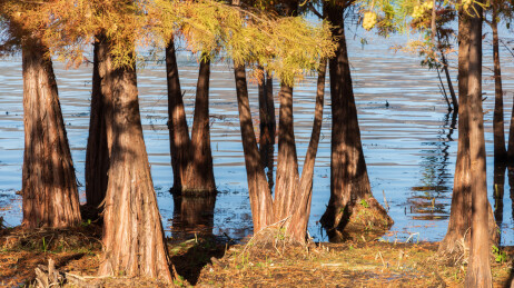 云南省大理市洱海才村码头风光