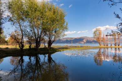 云南省大理市洱海喜洲古镇海舌公园