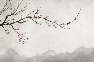 中国风水墨山水梅花风景画