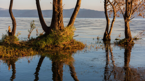 云南省大理市洱海喜洲古镇海舌公园