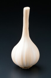 长茎蒜头黑色背景极简摄影