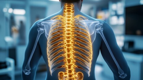 人体骨骼高清图