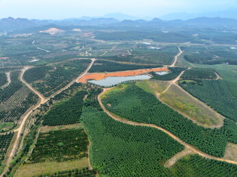 采矿废弃地变身园艺观光园