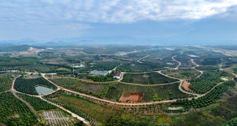 采矿废弃地变身园艺观光园