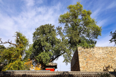 北京市石景山区承恩寺