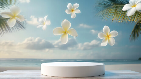 海滩上的白色鸡蛋花特写镜头