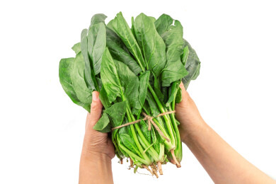 一把菠菜白底图