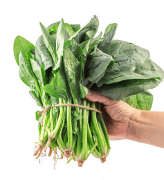 一把菠菜白底图
