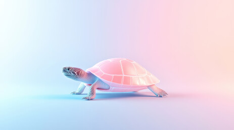 柔和背景下的卡通乌龟