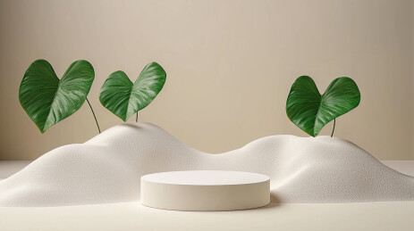 极简小清新米色绿植产品展示场景