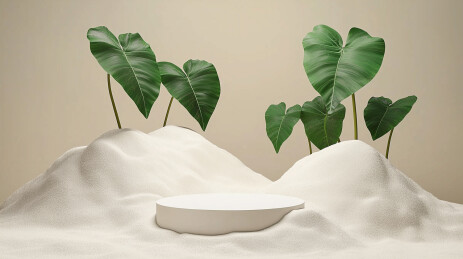 极简小清新米色绿植产品展示场景