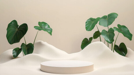 极简小清新米色绿植产品展示场景