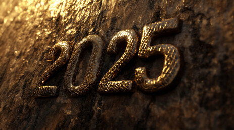 金属质感蛇纹数字2025