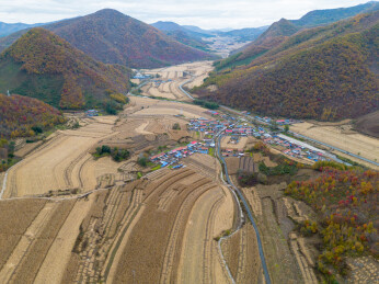农村山谷里的玉米地