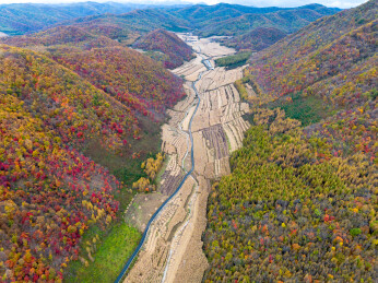 农村山谷里的玉米地