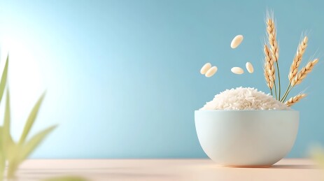 3D一碗白米饭和麦穗