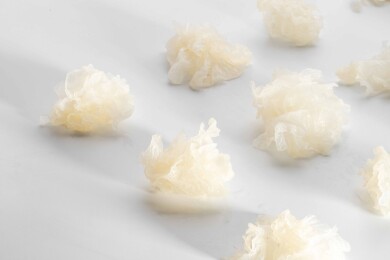 白色桌面上有一些鲜银耳