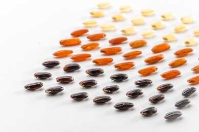 白色桌面上有一些三色米矩阵