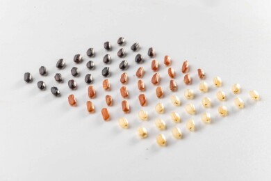 白色桌面上有一些三色米矩阵