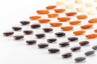 白色桌面上有一些三色米矩阵