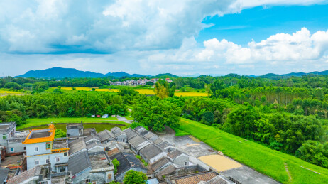 开平碉楼锦江里碉楼群夏日午后