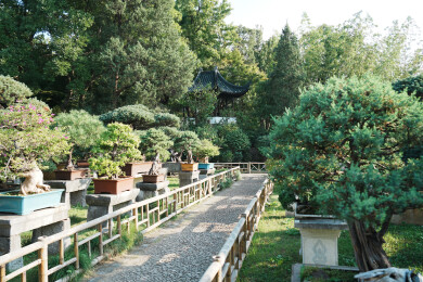 苏州留园盆景园