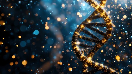 三维双螺旋DNA结构和基因序列