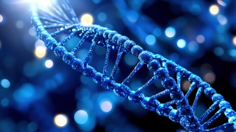 三维双螺旋DNA结构和基因序列