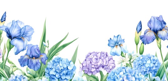 白色背景的热带花朵