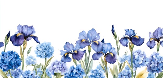 白色背景热带花特写
