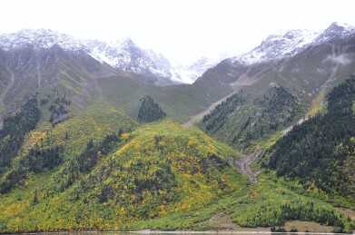 世外桃源中国鲁朗蓝天白云下的自然风光