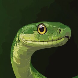 灵动缠绕的蛇之生态壁纸与插画艺术