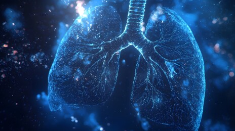 人体肺部解剖图示