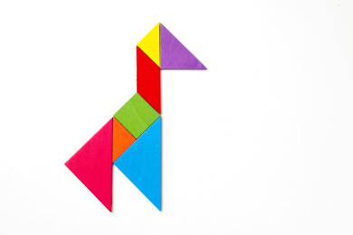 用七巧板拼成的小鸟图案特写