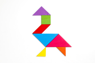 用七巧板拼成的小鸟图案特写