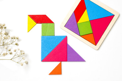 用七巧板拼成的小鸟图案特写