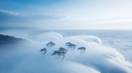 大浪拍打岸边的冬季海景